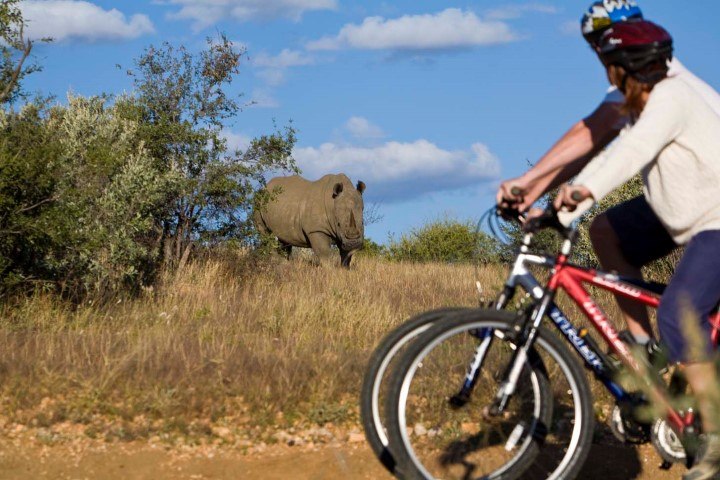 Mann und Frau auf einem Mountainbike im afrikanischen Busch beobachten ein Spitzmaulnashorn