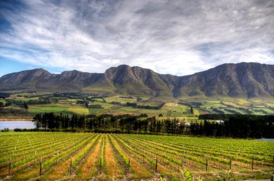 Vista dos vinhedos de Stellenbosch nas Vinhas do Cabo, África do Sul