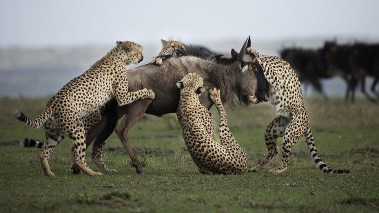 Foto vencedora do Africa's Photographer of the Year 2017 de Clement Kiragu