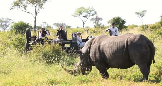 Nashorn in der Savanne mit Safari-Reisenden im Hintergrund