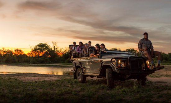 La magia del safari, siempre presente en el Parque Kruger