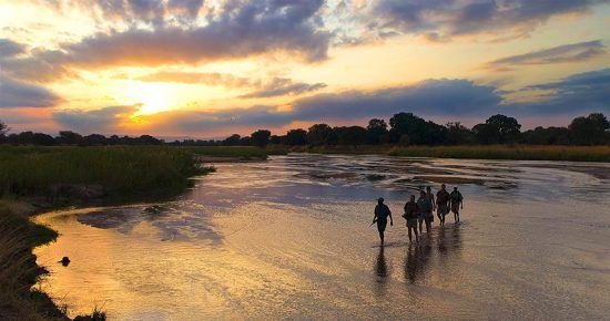 Safaris a pie en el Parque Nacional de Hwange, Zimbabwe