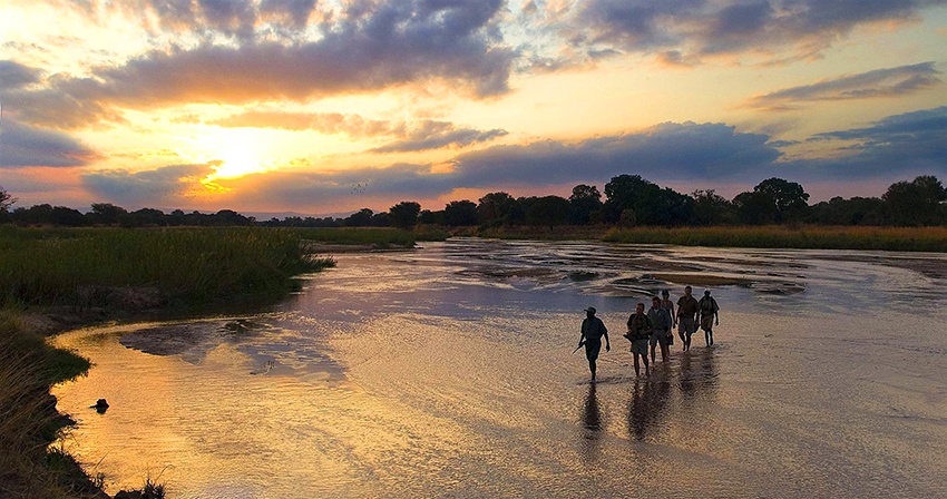 Safári a pé em Hwange, no Zimbábue