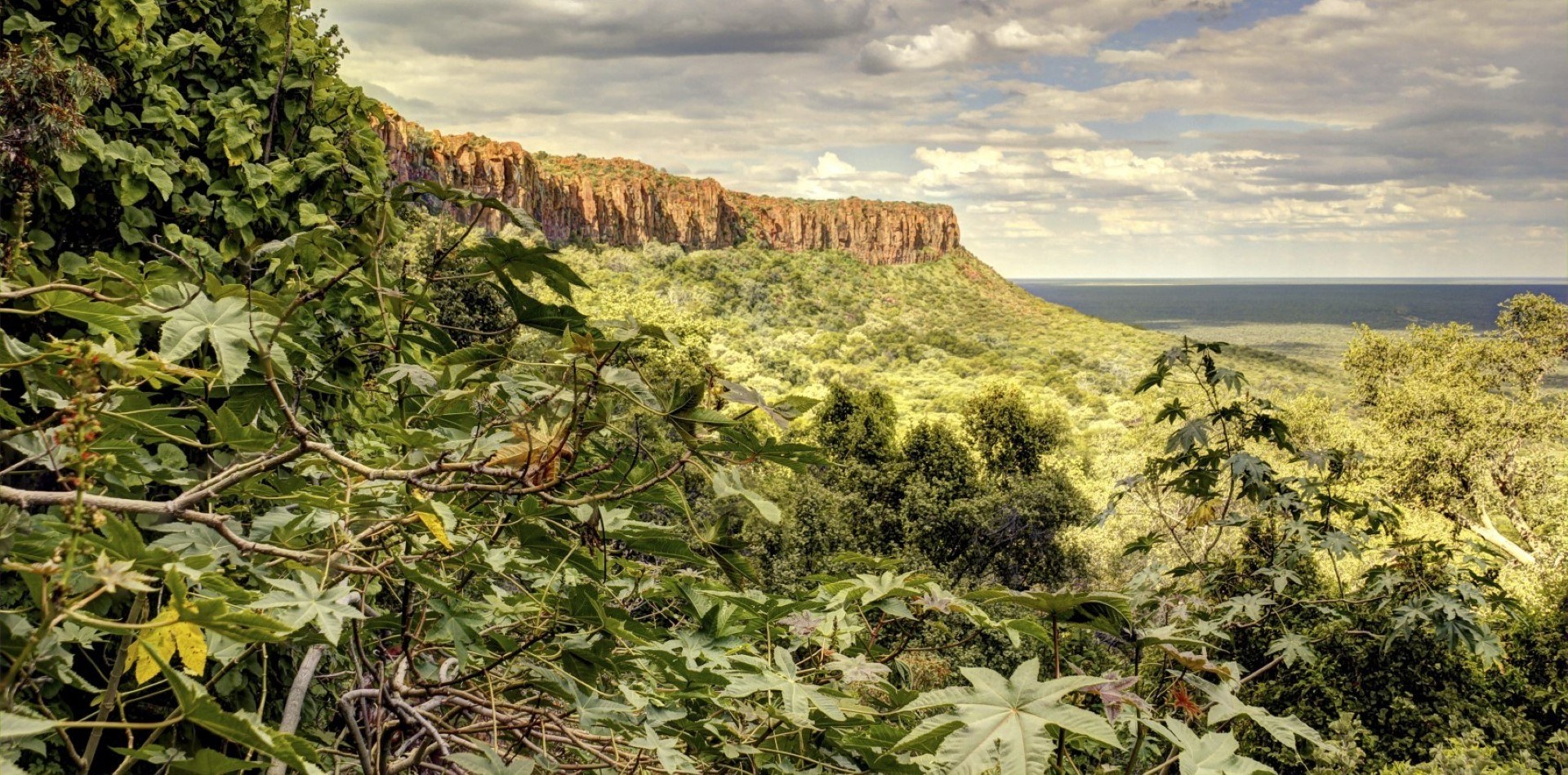 Paysage montagneux et verdoyant au Limpopo, Afrique du Sud