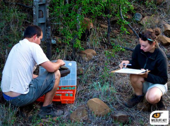 La monitorización es una de las actividades clave de Wildlife ACT