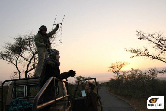 Bénévoles de l'association Wildlife ACT à la recherche d'un signal pour leurs études sur la cause animale