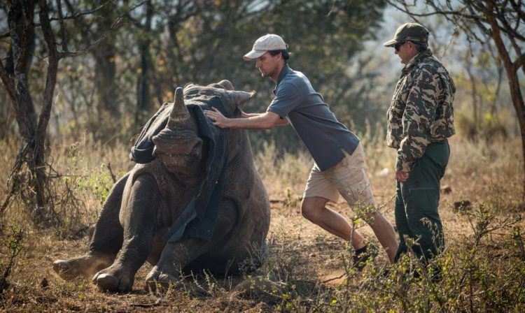 Bénévole de l'association Wildlife ACT dans son action de lutte anti braconnage des rhinocéros