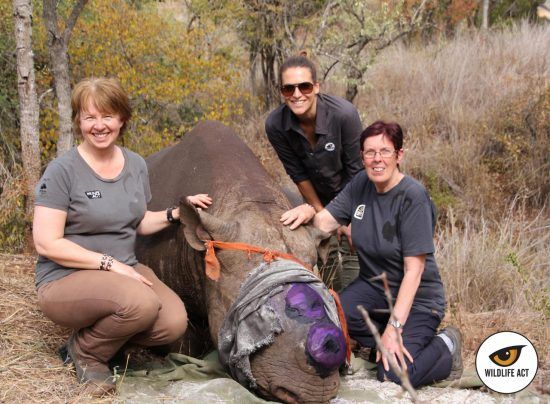 Bénévoles de l'association de Wildlife ACT contre le braconnage des rhinocéros en Afrique du Sud