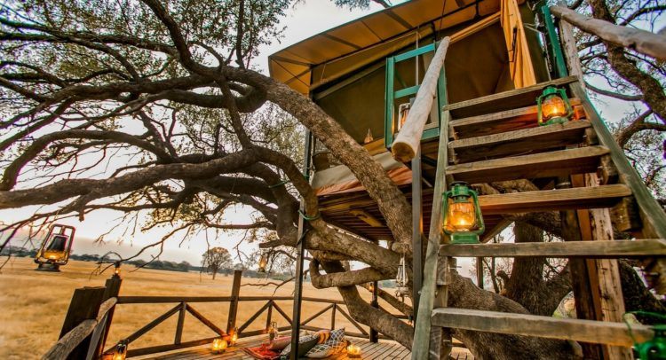 The Hide et sa cabane perchée dans les arbres dans le Parc National de Hwange, Zimbabwe