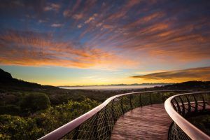 Coucher de soleil vu depuis la passerelle de Kirstenbosch, le Cap