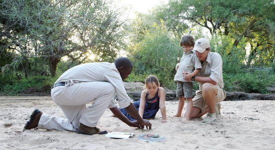 Londolozi bietet einige der besten Safari-Lodges für Familien im Sabi Sand Game Reserve: Kinder und Guides erkunden den Busch