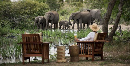 Safari-Urlauber mit Hut sitzt mit Bier in der Hand an einem Wasserloch und beobachtet eine Elefantenherde