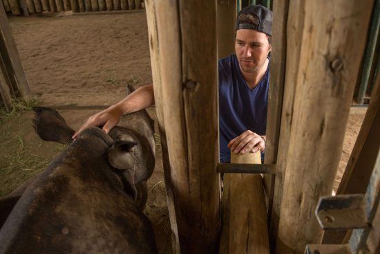 Baby rhino orphan at a rhino sanctuary, wildlife ACT