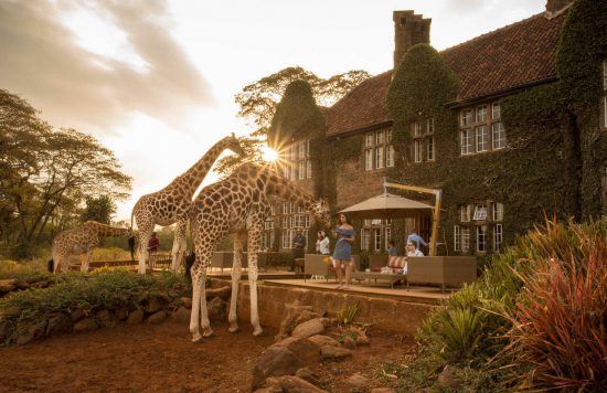 You can share your breakfast with giraffe at this gorgeous manor estate 