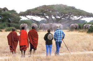 Guides maasai lors d'un safari au Kenya