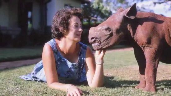 A Tribute To Dame Daphne Sheldrick 1934 2018 Rhino Africa 