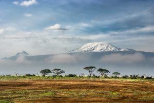 Blick auf den schneebedeckten Kilimanjaro in Tansania