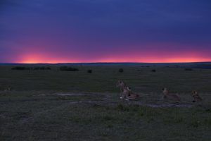 Masái Mara, Kenia, tiene algunos de los mejores atardeceres de África