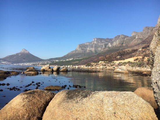 Im Vordergrund die Küste, dahinter die Twelve Apostles und der Lion's Head