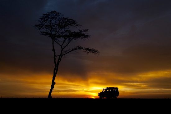 ¿Preparado para tu próxima aventura africana?