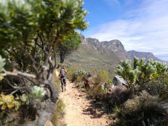 Eine Frau von hinten, die einen Weg am Tafelberg entlangwandert