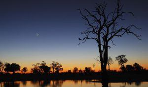 Atarceder en el Parque acional Hwange, en Zimbabue.