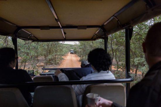 Reserva Welgevonden, Waterberg, Limpopo