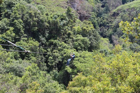 Ein Mann der auf einer Zipline mitten im Urwald lacht