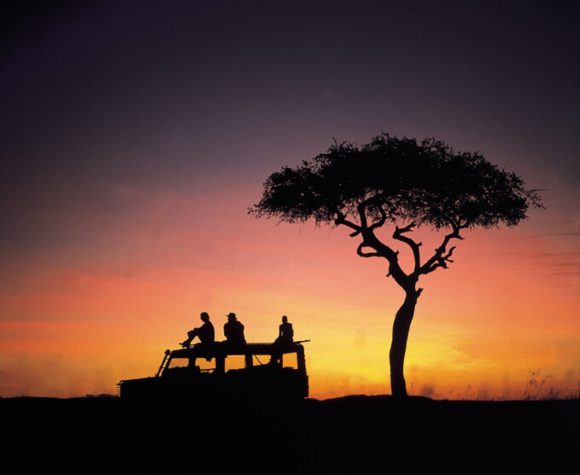 Ein Geländewagen und ein Baum, dahinter ein gelber Sonnenuntergang