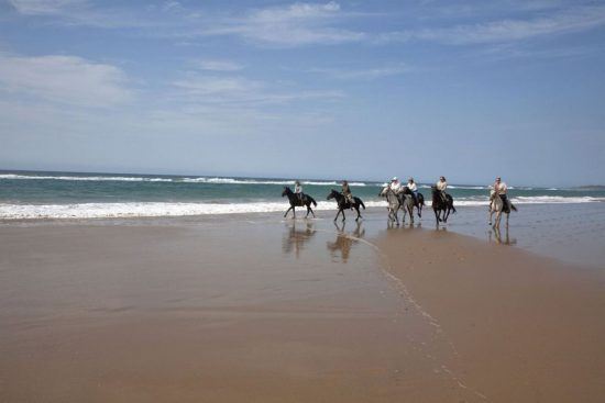 Fünf Reiter auf Pferden gehen über einen Strand in Durban, dahinter das Meer