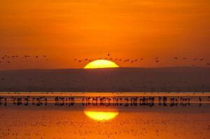 Soleil couchant sur le lac Manyara