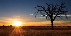 El atardecer en el desierdo de Kalahari, Namibia