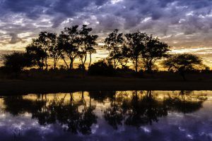 Atardecer en la reserva natural Moremi, Botsuana