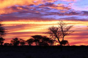 Atardecer en África, Namibia