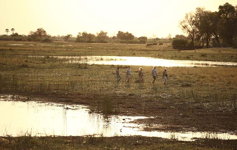 Groupe de touristes en randonnée safari à pied au Botswana.