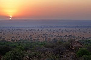 Serengeti National Park at sunset