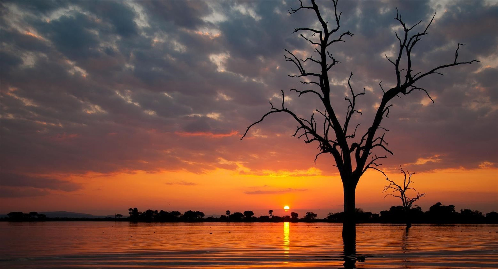 Coucher de soleil au Parc National de Selous, Tanzanie