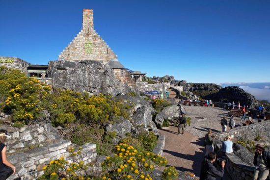 The top of Table Mountain with walking routes and fynbos 