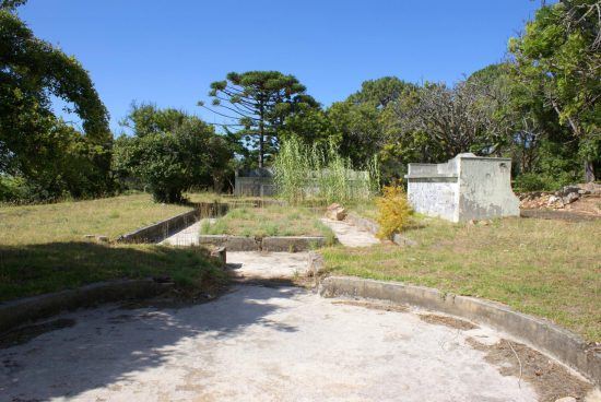 Ein rundes, leeres Becken umgeben von Wiese, dahinter Bäume