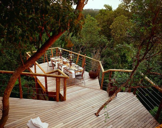 ein Tisch auf einem Holzdeck, dahinter Urwald