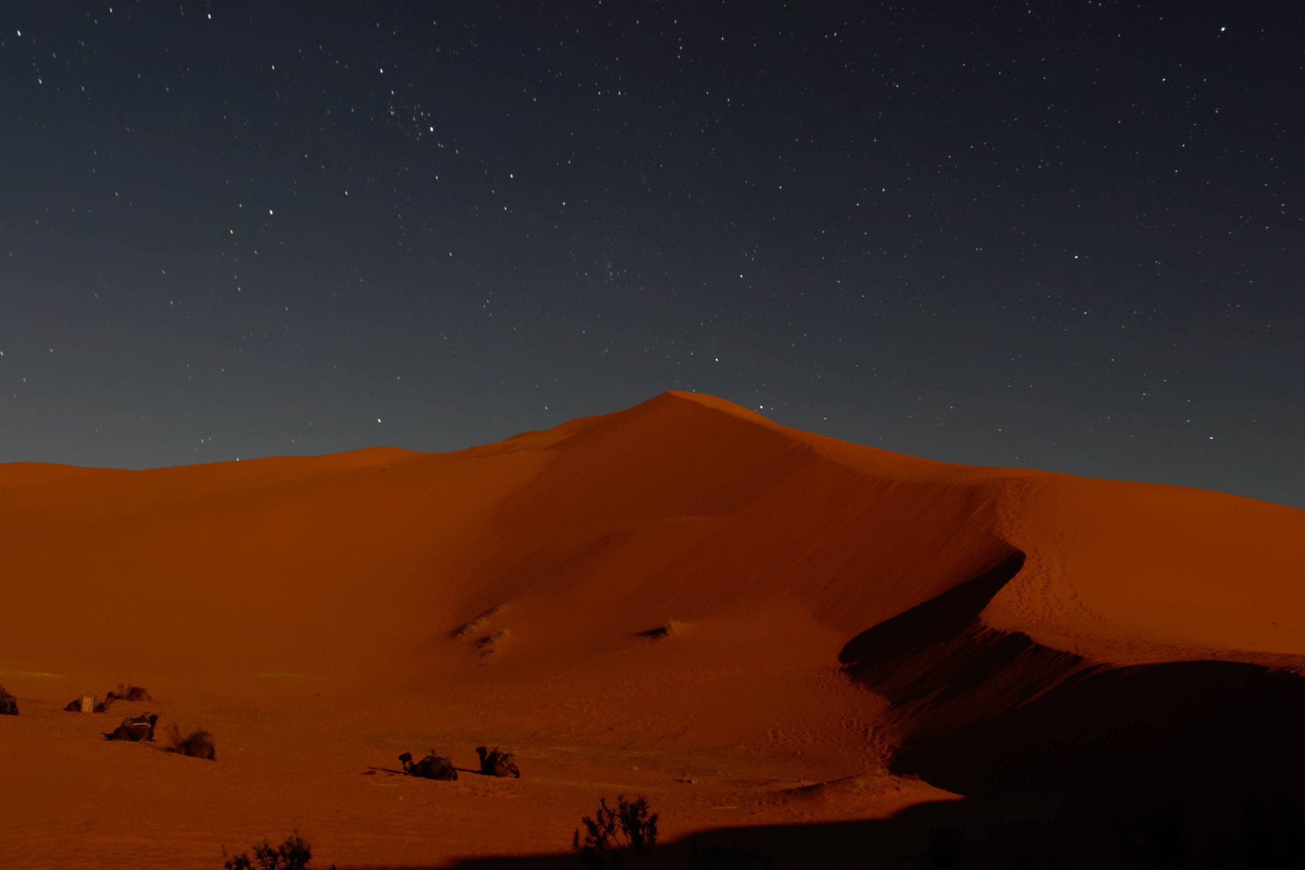 El desierto del Sáhara bajo las estrellas