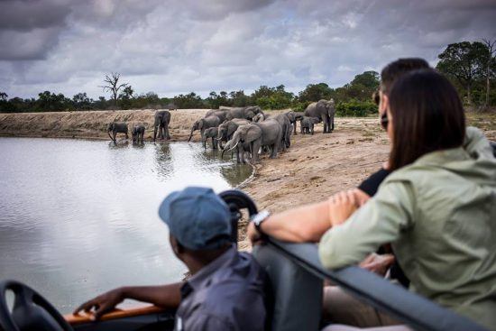 Personen im Safari-Fahrzeug beobachten Elefanten am Wasserloch