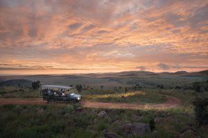 Explore a reserva Welgevonden em safaris mágicos em veículos 4x4