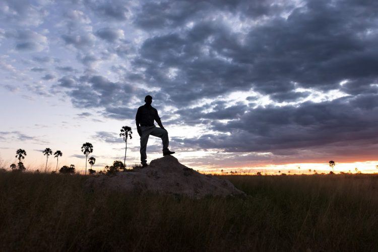 Guide safari au coucher de soleil, héro des plus beaux clichés de Simon durant son safari photo au Zimbabwe