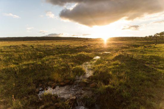 Reserva sul-africana Welgevonden