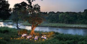 Disfruta de románticas cenas de luna de miel en la naturaleza en la Reserva Sabi Sand