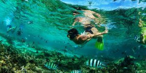 vacances à l'île maurice : snorkelling/tuba