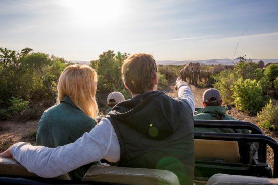 Ein Pärchen in einem Safari-Fahrzeug sichtet Elefanten auf dem Weg