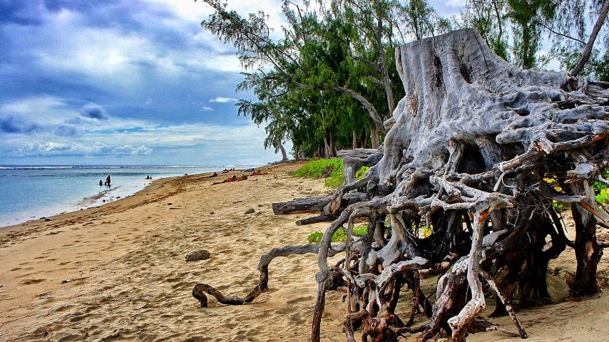 Der wunderschöne Sandstrand Hermitage Beach auf La Réunion