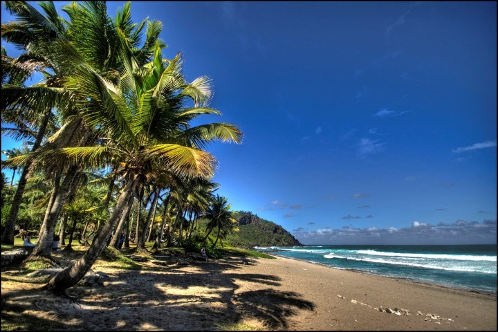 Sandstrand mit Palmen vor blauem Himmel - Reiseführer La Réunion